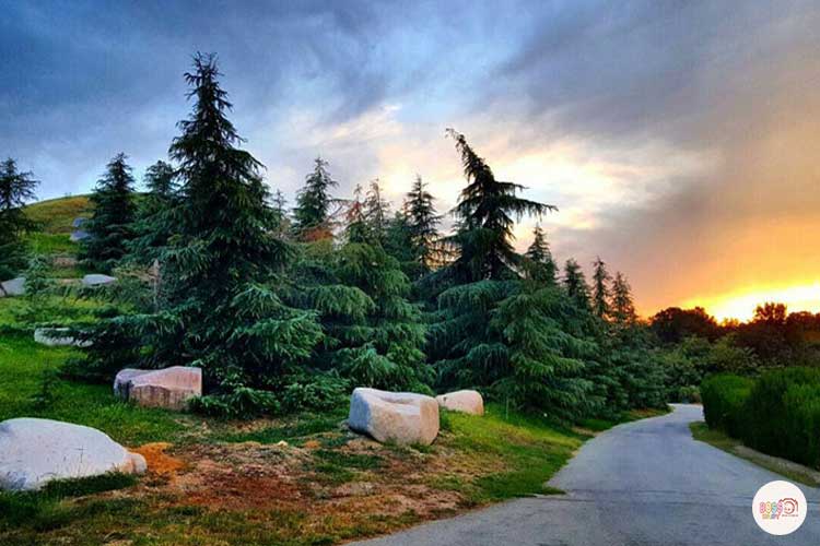 باغ گیاه شناسی ملی ایران